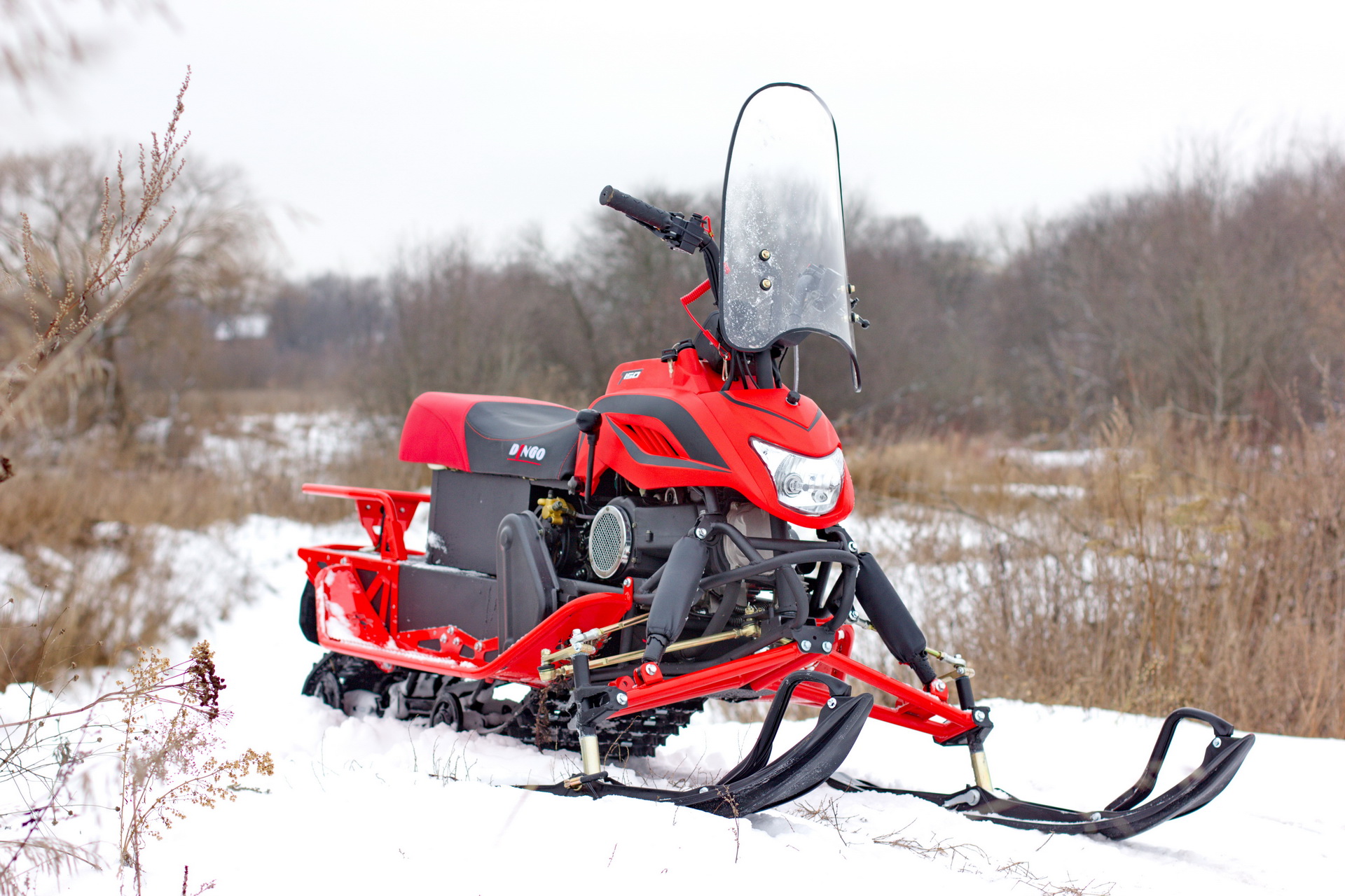 Снегоход DINGO T200 (Красный)