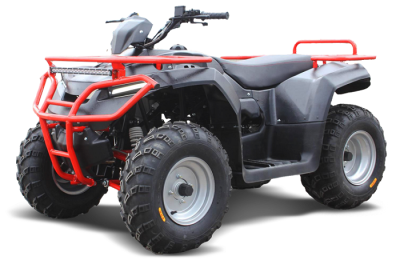 Квадроцикл IRBIS ATV 250