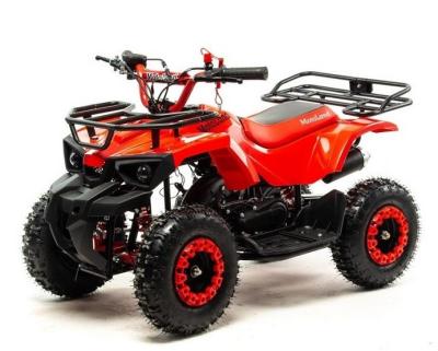Квадроцикл Motoland SCORPION 50 Квадроцикл Motoland SCORPION 50