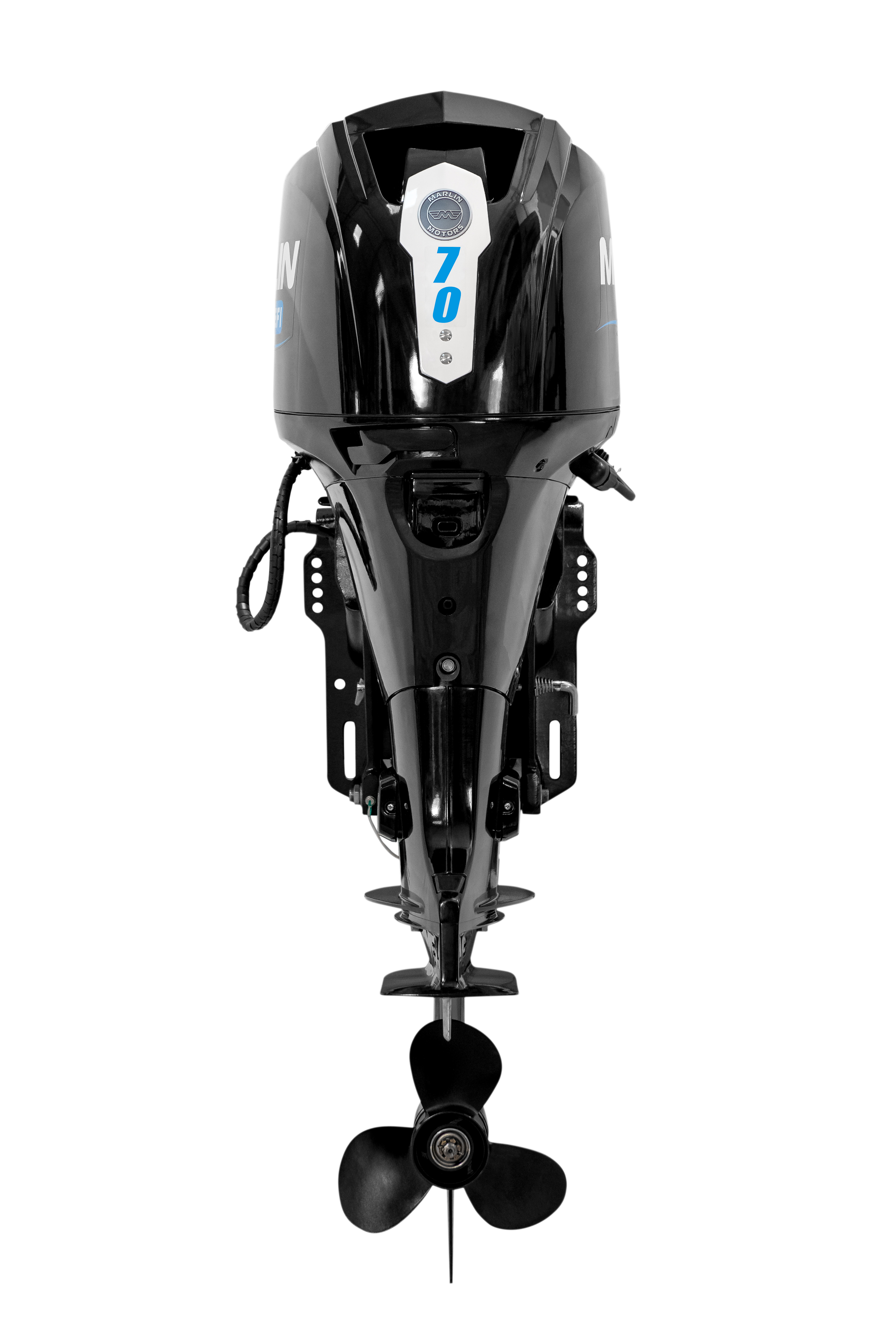 Мотор MARLIN MFI 70 AERTLV