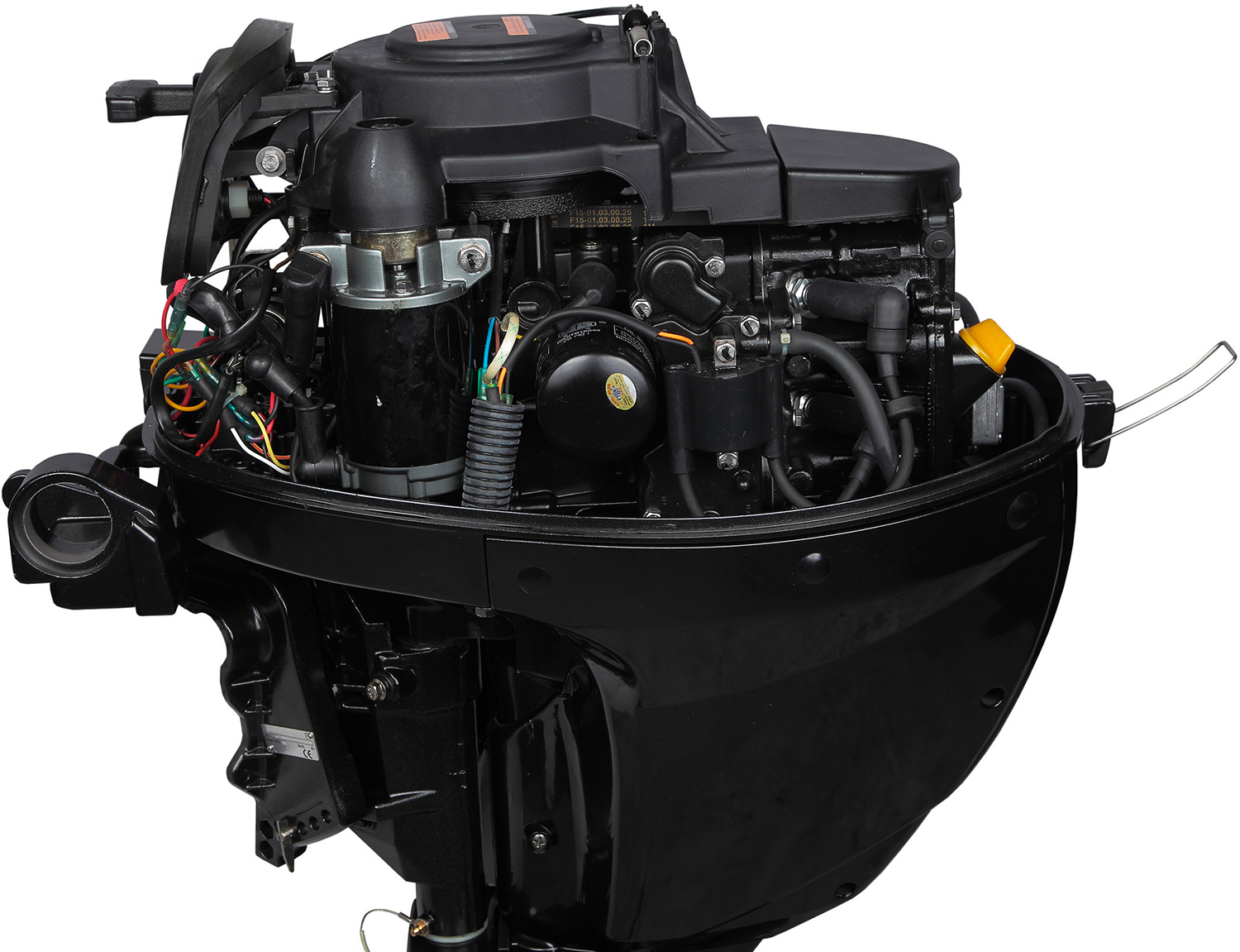 Мотор MARLIN MF 9.9 AMHS Light