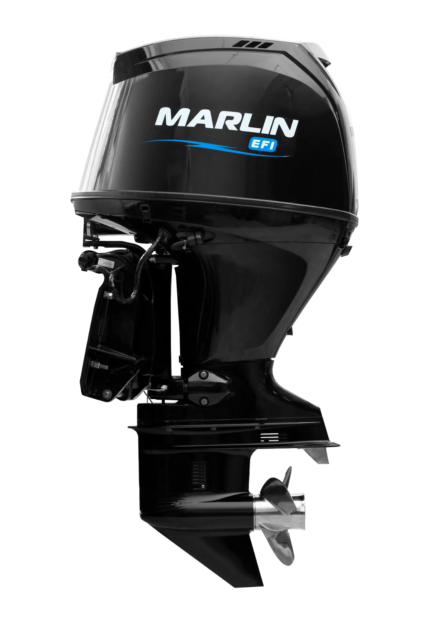 Лодочный мотор Marlin MFI100 AERTL (115)
