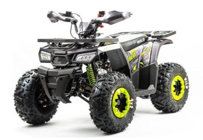Квадроцикл Motoland 125 WILD BASIC