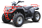 Квадроцикл IRBIS ATV 250